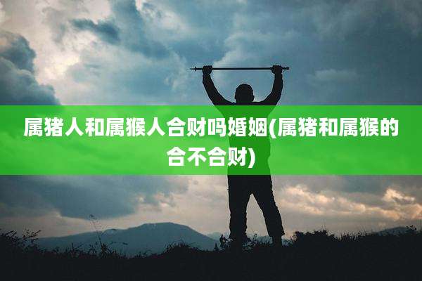 属猪人和属猴人合财吗婚姻(属猪和属猴的合不合财)