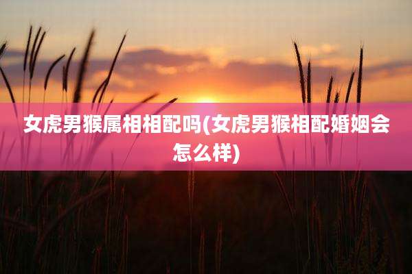 女虎男猴属相相配吗(女虎男猴相配婚姻会怎么样)