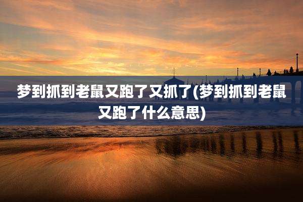 梦到抓到老鼠又跑了又抓了(梦到抓到老鼠又跑了什么意思)