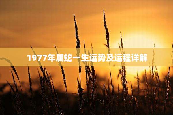 1977年属蛇一生运势及运程详解