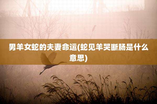 男羊女蛇的夫妻命运(蛇见羊哭断肠是什么意思)