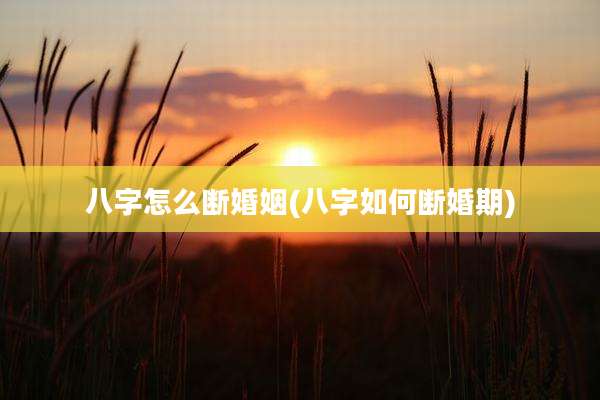 八字怎么断婚姻(八字如何断婚期)