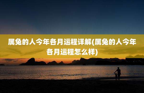 属兔的人今年各月运程详解(属兔的人今年各月运程怎么样)