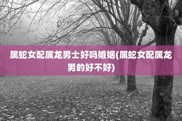 属蛇女配属龙男士好吗婚姻(属蛇女配属龙男的好不好)