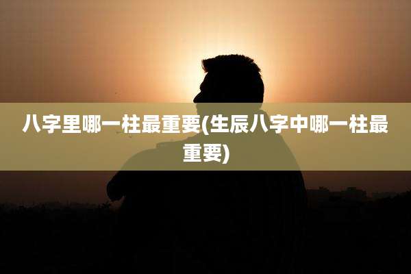 八字里哪一柱最重要(生辰八字中哪一柱最重要)
