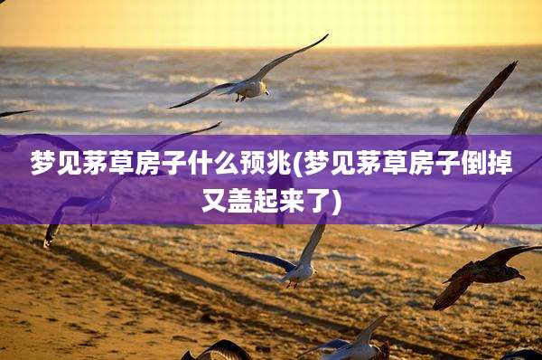 梦见茅草房子什么预兆(梦见茅草房子倒掉又盖起来了)