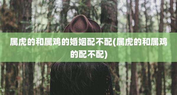 属虎的和属鸡的婚姻配不配(属虎的和属鸡的配不配)