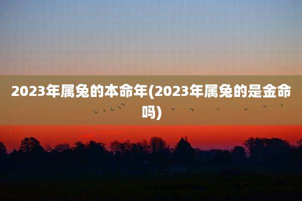 2023年属兔的本命年(2023年属兔的是金命吗)
