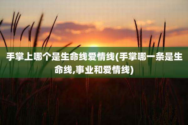 手掌上哪个是生命线爱情线(手掌哪一条是生命线,事业和爱情线)