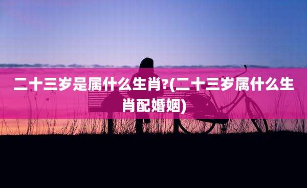 二十三岁是属什么生肖?(二十三岁属什么生肖配婚姻)