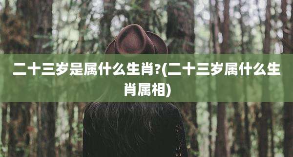 二十三岁是属什么生肖?(二十三岁属什么生肖属相)