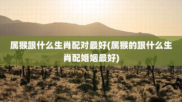 属猴跟什么生肖配对最好(属猴的跟什么生肖配婚姻最好)