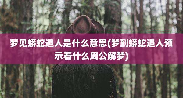 梦见蟒蛇追人是什么意思(梦到蟒蛇追人预示着什么周公解梦)