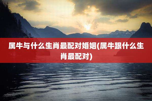 属牛与什么生肖最配对婚姻(属牛跟什么生肖最配对)
