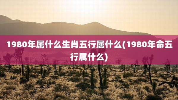 1980年属什么生肖五行属什么(1980年命五行属什么)