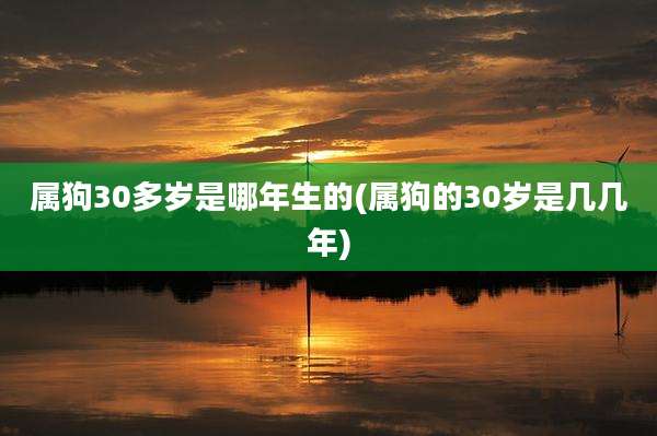 属狗30多岁是哪年生的(属狗的30岁是几几年)