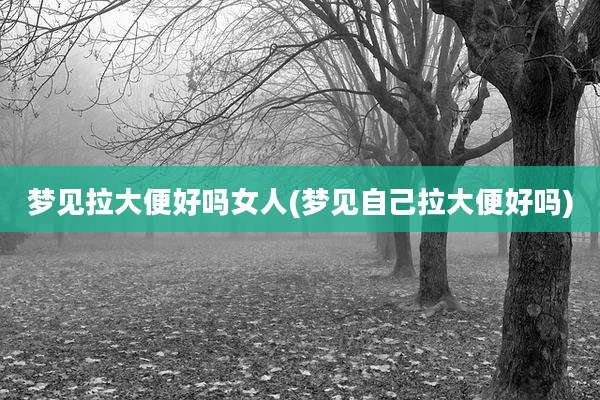 梦见拉大便好吗女人(梦见自己拉大便好吗)