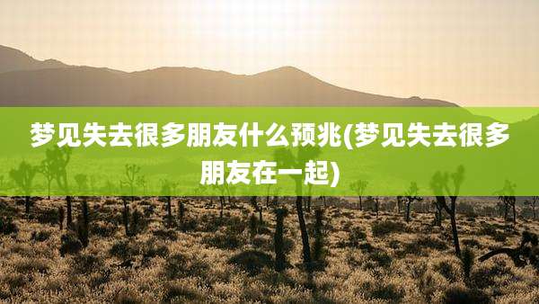 梦见失去很多朋友什么预兆(梦见失去很多朋友在一起)