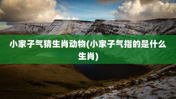 小家子气猜生肖动物(小家子气指的是什么生肖)