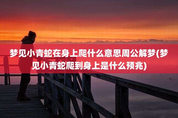 梦见小青蛇在身上爬什么意思周公解梦(梦见小青蛇爬到身上是什么预兆)