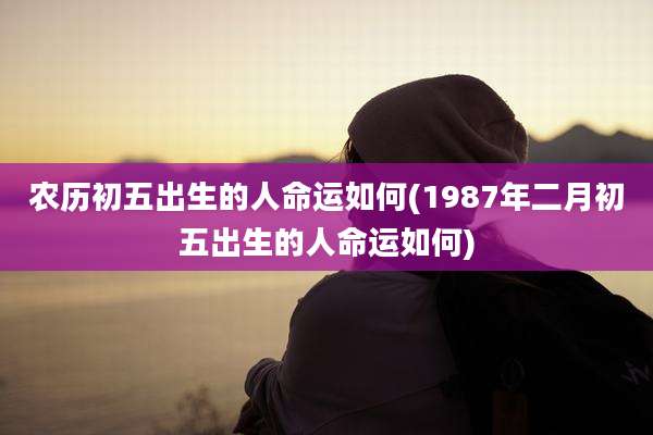 农历初五出生的人命运如何(1987年二月初五出生的人命运如何)