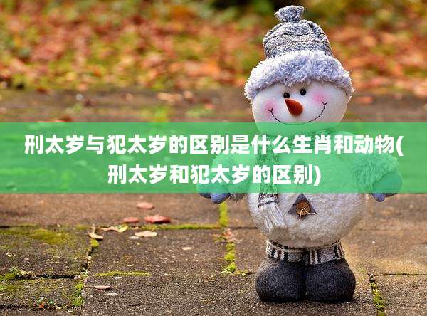 刑太岁与犯太岁的区别是什么生肖和动物(刑太岁和犯太岁的区别)