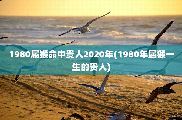 1980属猴命中贵人2020年(1980年属猴一生的贵人)