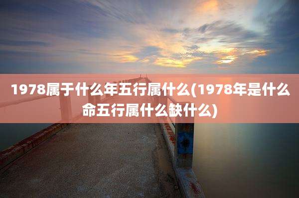 1978属于什么年五行属什么(1978年是什么命五行属什么缺什么)