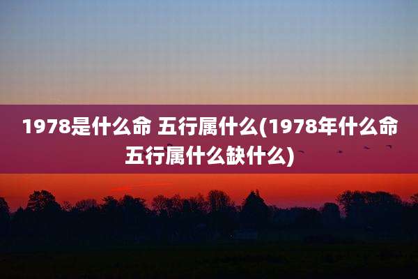1978是什么命 五行属什么(1978年什么命五行属什么缺什么)