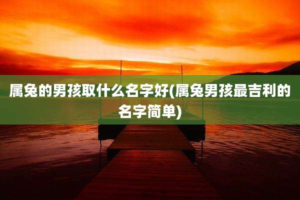 属兔的男孩取什么名字好(属兔男孩最吉利的名字简单)