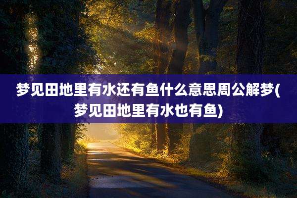 梦见田地里有水还有鱼什么意思周公解梦(梦见田地里有水也有鱼)