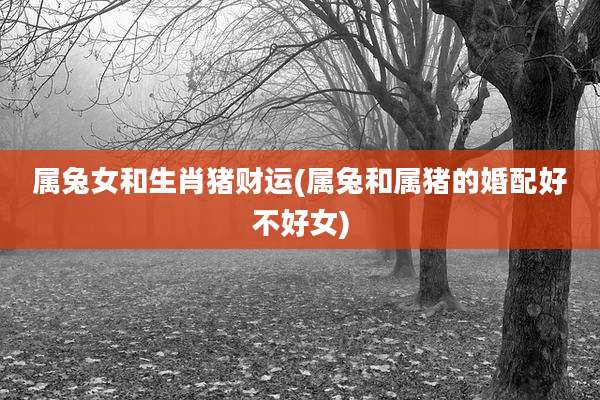 属兔女和生肖猪财运(属兔和属猪的婚配好不好女)