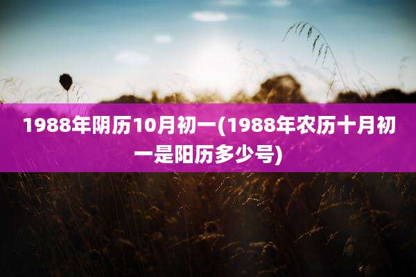 1988年阴历10月初一(1988年农历十月初一是阳历多少号)