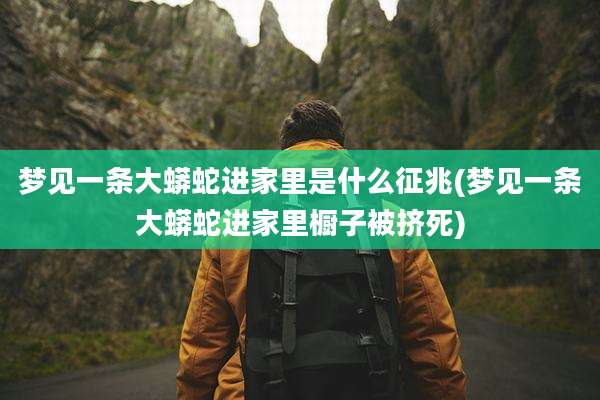 梦见一条大蟒蛇进家里是什么征兆(梦见一条大蟒蛇进家里橱子被挤死)