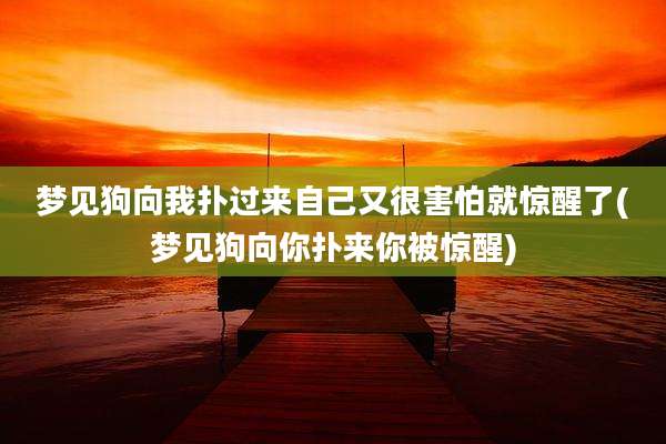 梦见狗向我扑过来自己又很害怕就惊醒了(梦见狗向你扑来你被惊醒)