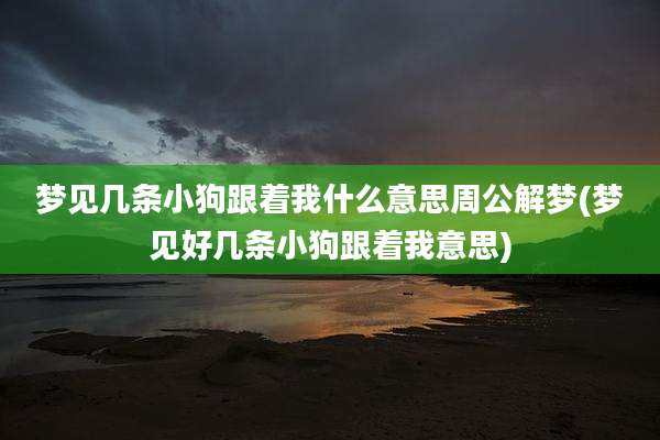 梦见几条小狗跟着我什么意思周公解梦(梦见好几条小狗跟着我意思)