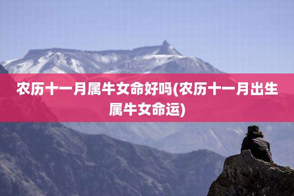 农历十一月属牛女命好吗(农历十一月出生属牛女命运)