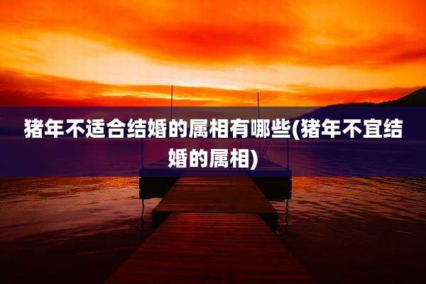 猪年不适合结婚的属相有哪些(猪年不宜结婚的属相)