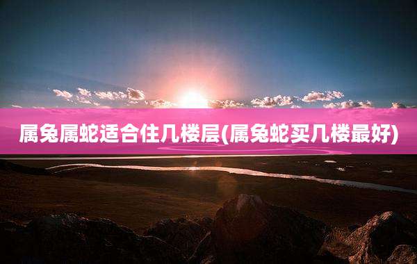 属兔属蛇适合住几楼层(属兔蛇买几楼最好)
