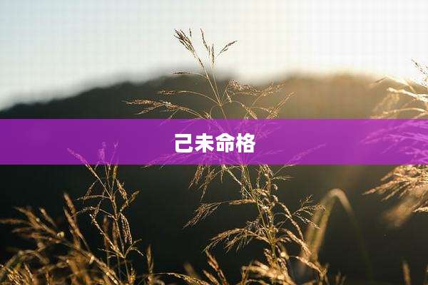 己未命格