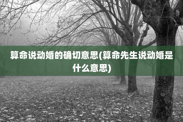 算命说动婚的确切意思(算命先生说动婚是什么意思)