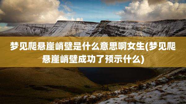 梦见爬悬崖峭壁是什么意思啊女生(梦见爬悬崖峭壁成功了预示什么)