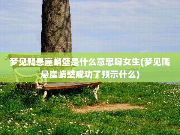 梦见爬悬崖峭壁是什么意思呀女生(梦见爬悬崖峭壁成功了预示什么)