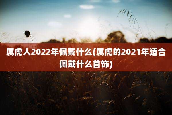 属虎人2022年佩戴什么(属虎的2021年适合佩戴什么首饰)