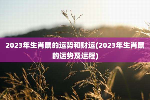 2023年生肖鼠的运势和财运(2023年生肖鼠的运势及运程)