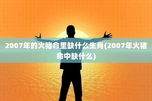 2007年的火猪命里缺什么生肖(2007年火猪命中缺什么)