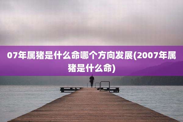 07年属猪是什么命哪个方向发展(2007年属猪是什么命)