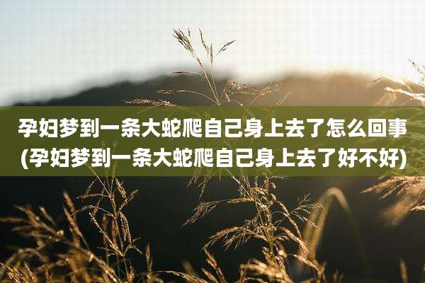 孕妇梦到一条大蛇爬自己身上去了怎么回事(孕妇梦到一条大蛇爬自己身上去了好不好)