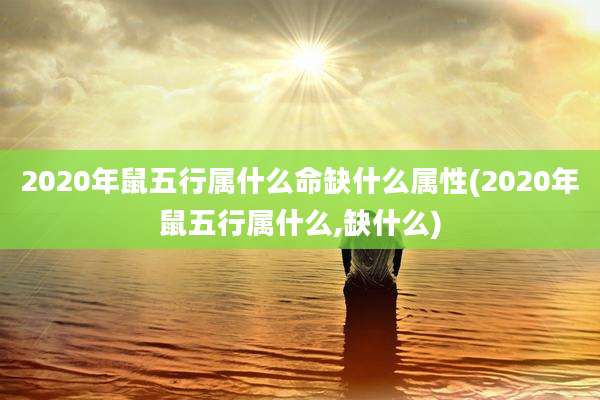 2020年鼠五行属什么命缺什么属性(2020年鼠五行属什么,缺什么)