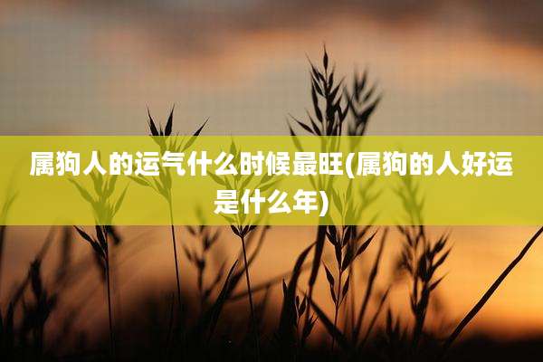 属狗人的运气什么时候最旺(属狗的人好运是什么年)
